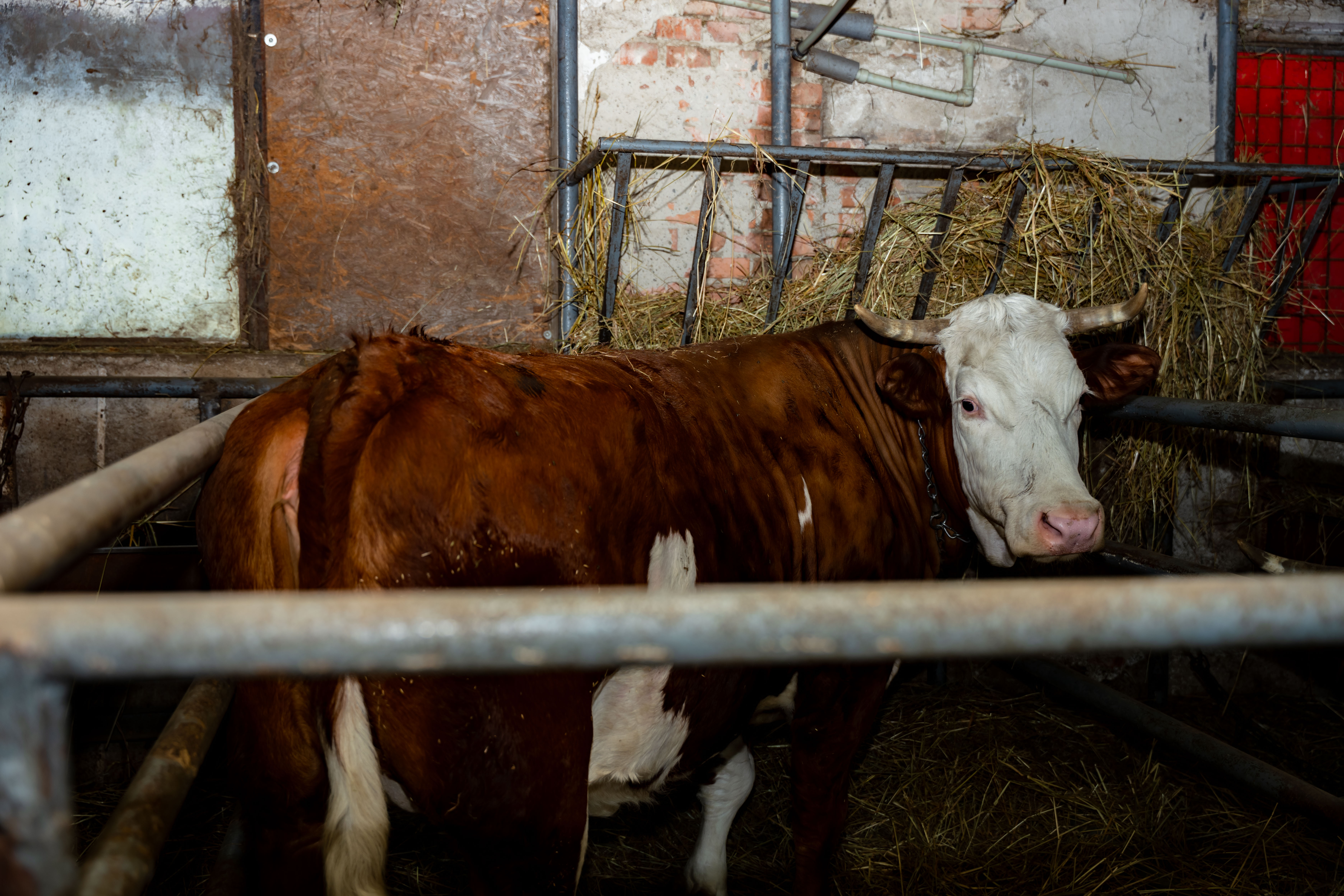 Vyjazdove rokovanie MRK-1-30